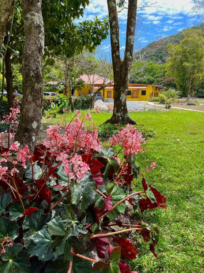 El Valle Resort & Spa - Aguas Termales El Valle de Anton Kültér fotó
